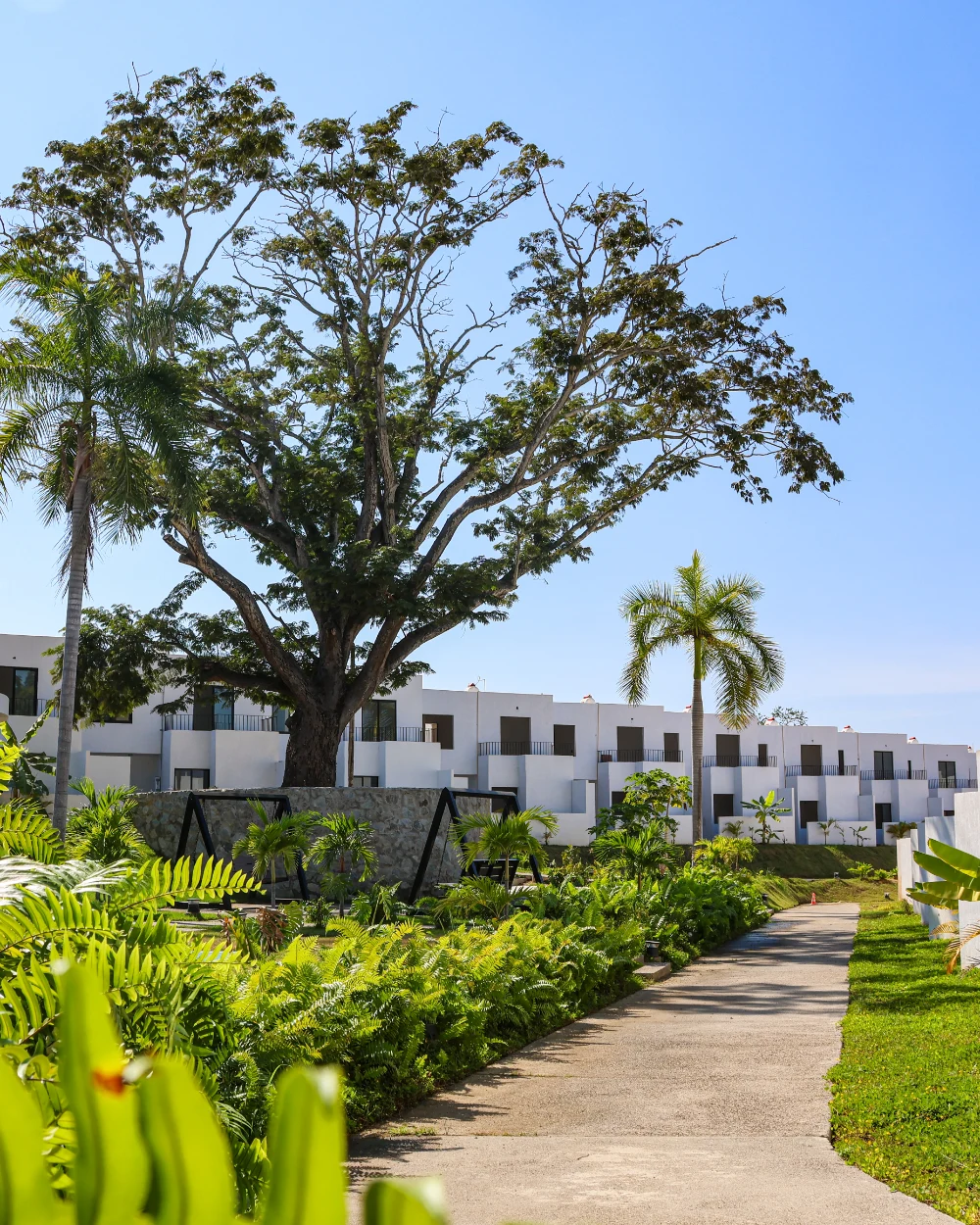 Alberca, áreas verdes y entorno residencial de Aldea Hortus en Bahía de Banderas